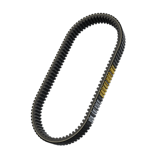 Drive Belt