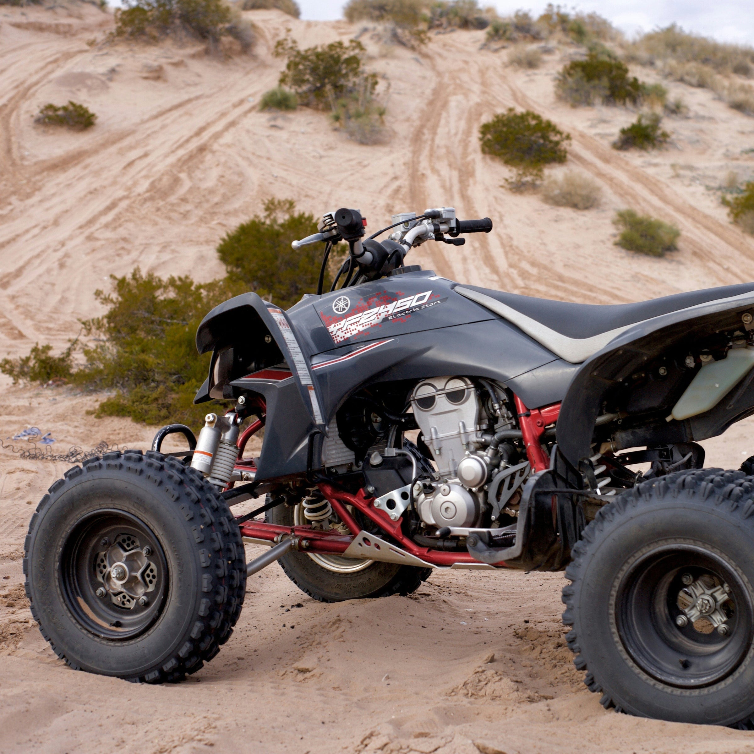 YAMAHA-Grizzly