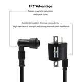 1PZ P5C-CW1 Ignition Coil for Chinese 50cc 90cc 110cc 125cc 200cc 250cc Motorcycle ATV Quad Dirt Bike
