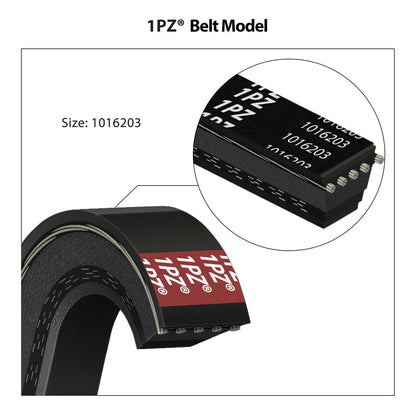 1PZ V1P-DS1 Club Car DS Starter Generator Belt & Drive Belt kit for 1997-Up DS & 2004-Up Precedent Golf Cart 1016203 101916701
