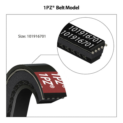 1PZ V1P-DS1 Club Car DS Starter Generator Belt & Drive Belt kit for 1997-Up DS & 2004-Up Precedent Golf Cart 1016203 101916701